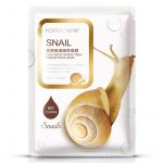 Snail-771
